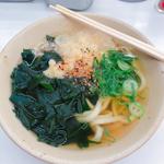 わかめうどん