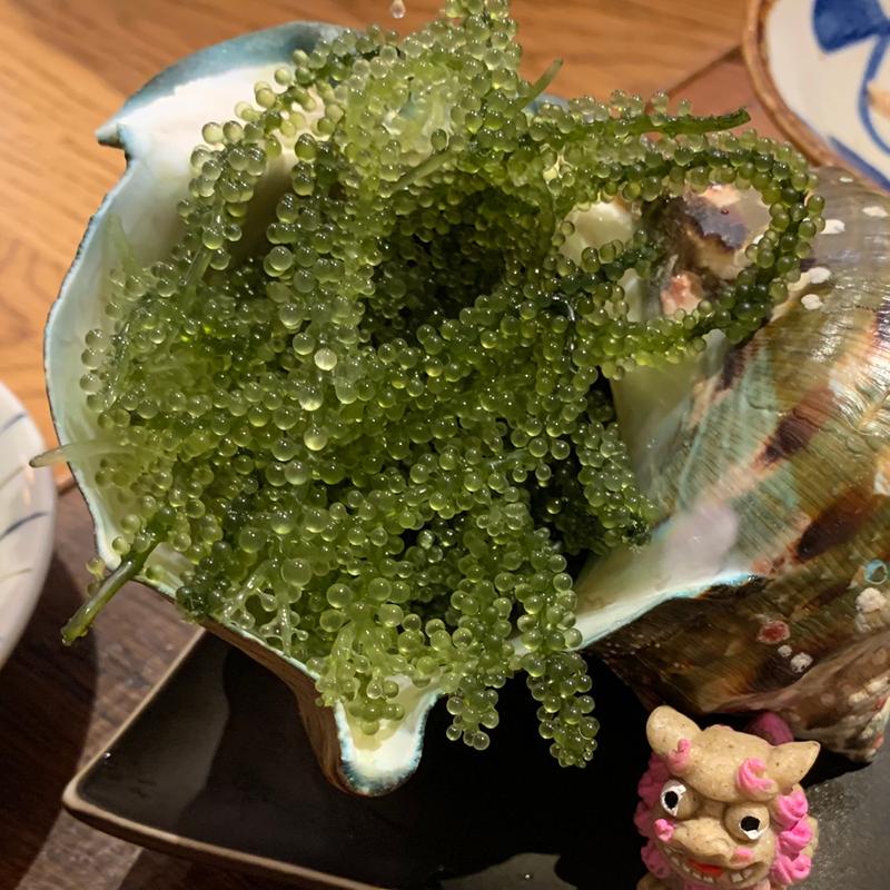 海ぶどう(オキナワ酒場波平てりとりー)