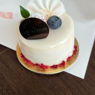 ニコ(アルカション （ARCACHON）)