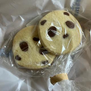 ビスケット(ラ・ムー 岸和田カンカン店)