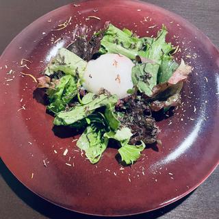 馬肉とトリュフのタルタル(BISTRO 響)
