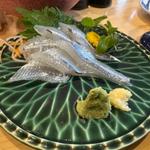 サヨリ お造り(鮨や いしもん)