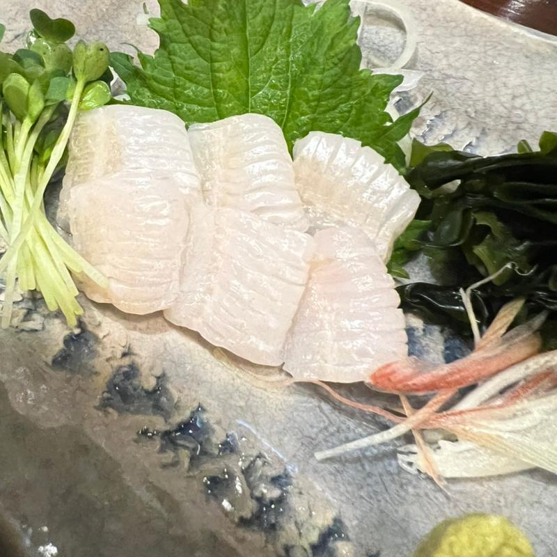 伝助穴子の刺身(まんぼう)