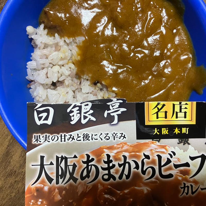 甘辛ビーフカレー(白銀亭 本町駅店)