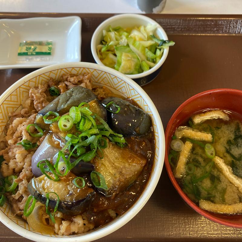 スパイシー麻婆茄子牛丼(すき家 18号長野北尾張部店 )