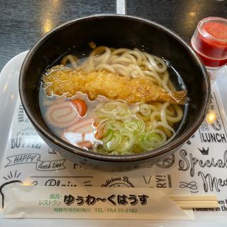 天ぷらうどん(ゆぅわ~くはうす)