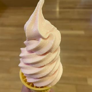 とちおとめソフトクリーム(王寿庵 花小金井店)