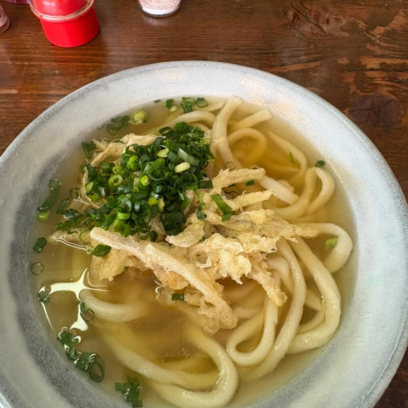 ごぼう天うどん(純手打うどん屋 (JA筑前あさくら うどんコーナー))