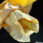 チーズにおぼれるツイスター