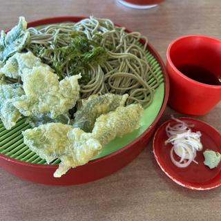 明日葉ざるそば(名代 歌乃茶屋 （うたのちゃや）)