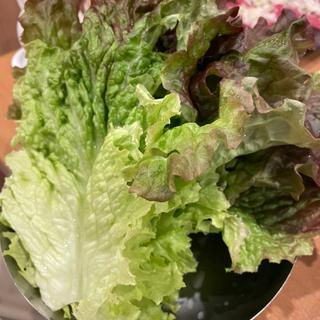 サンチュ(焼肉成)