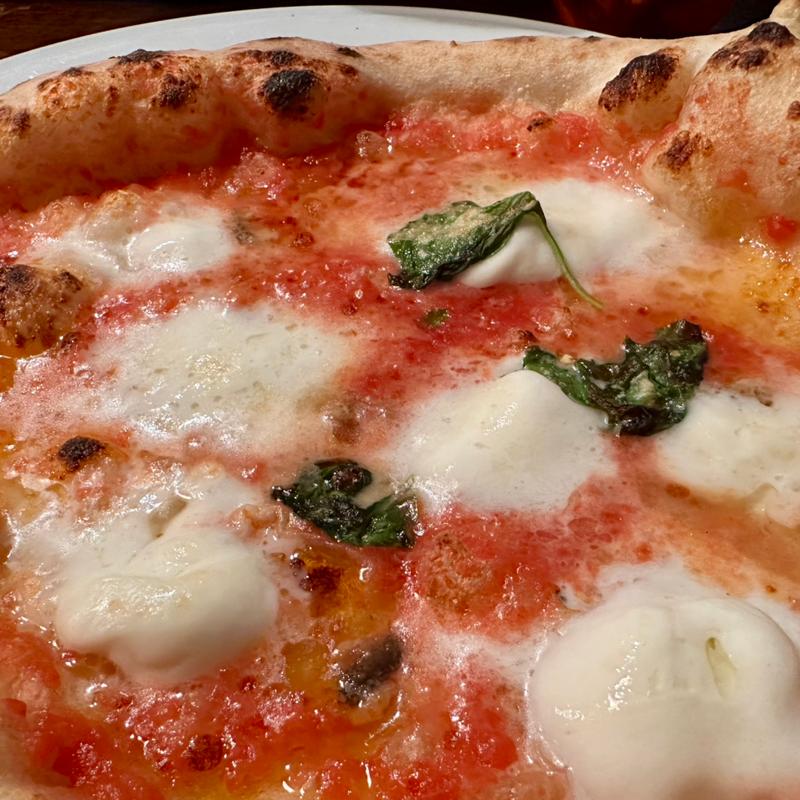 ロマーナ(Dal Brigante)