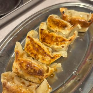 キタル餃子(串とメシにはサケキタル。天神親不孝通り店)