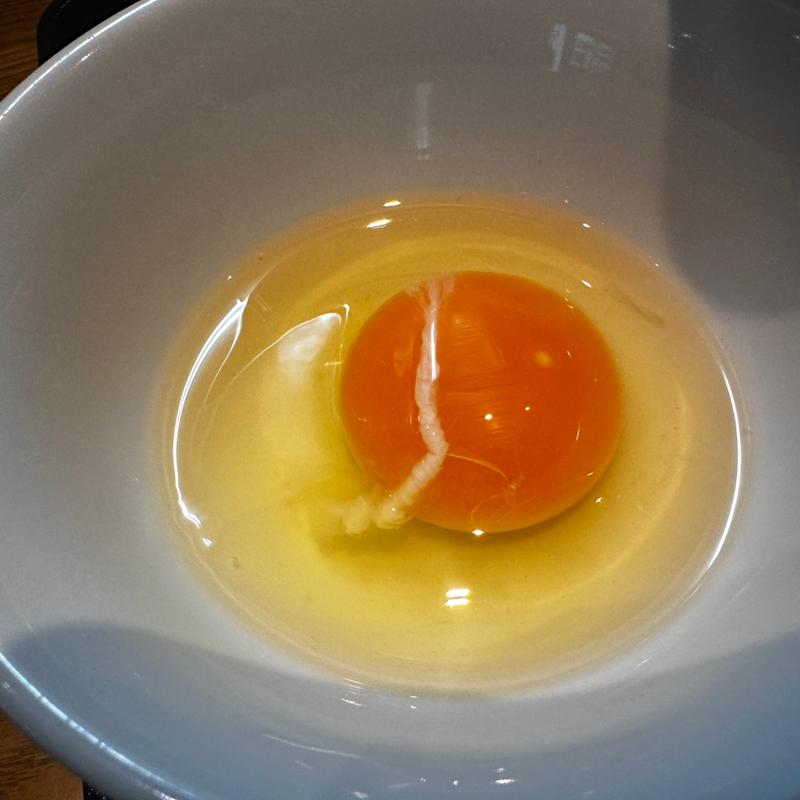 生卵(一颯 （イブキ）)