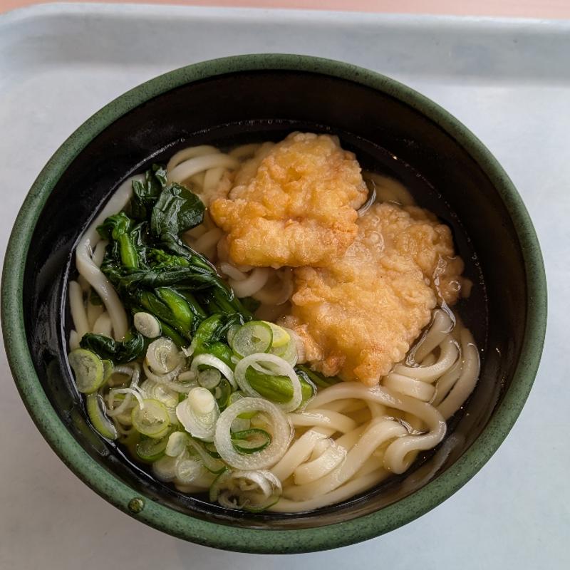 鶏天菜の花うどん(東京科学大学つばめ生協すずかけ台食堂)
