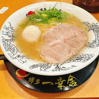 豚骨醤油味玉ラーメン(博多一幸舎 エキマルシェ大阪店)