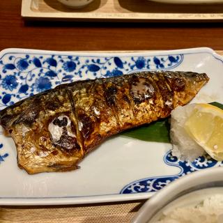 鯖塩焼きと刺身定食(釣宿酒場 マヅメ 御茶ノ水店)