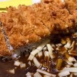 ロースカツカレー（小）(カレー屋ジョニー お茶ノ水店 （カレーヤジョニー）)