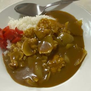 カレーライス(丸屋ソバ屋 )