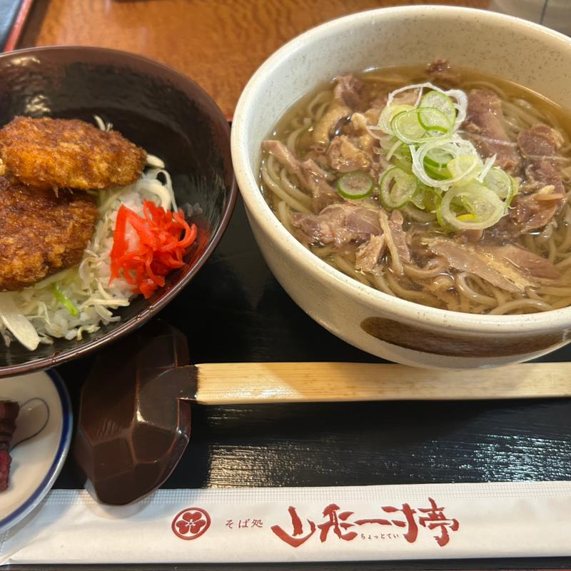 冷たい肉そばとチキンカツ丼(山形一寸亭)
