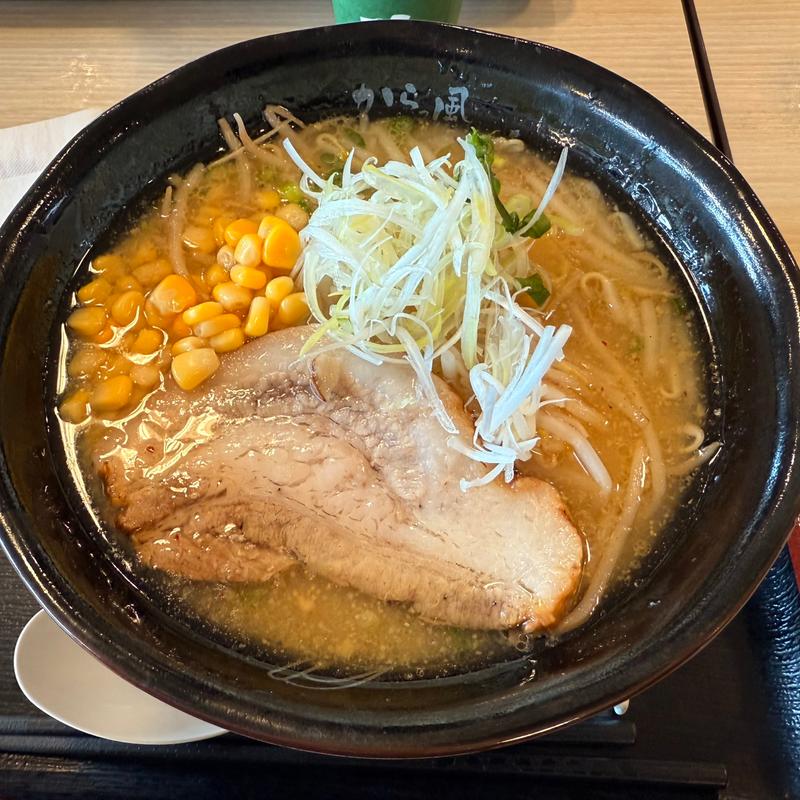 味噌ラーメン(赤城高原SA (下り))