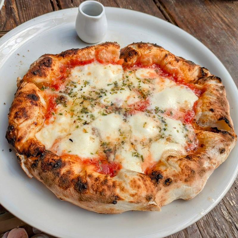 アンチョビ(ドットーレ （Dottore）)