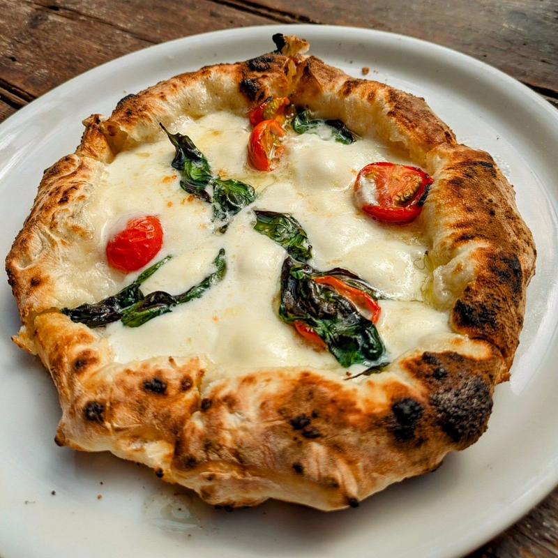 ドットーレ 白(ドットーレ （Dottore）)