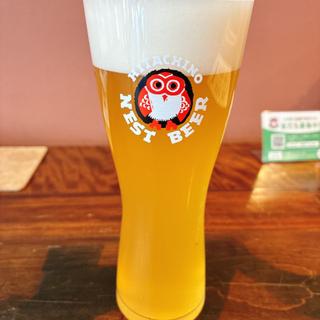 ホワイトエール(常陸野ブルーイング水戸)