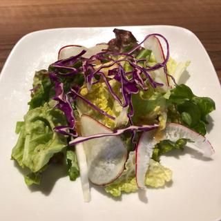 ランチサラダ(高倉町珈琲 戸田店)