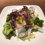 ランチサラダ(高倉町珈琲 戸田店)