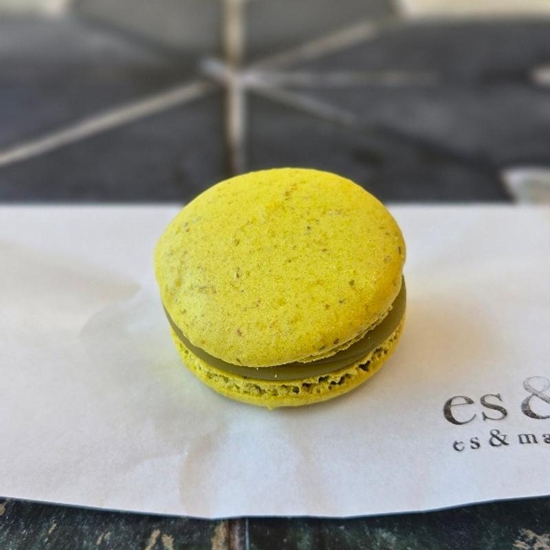 ピスタチオ(co. & m.es)