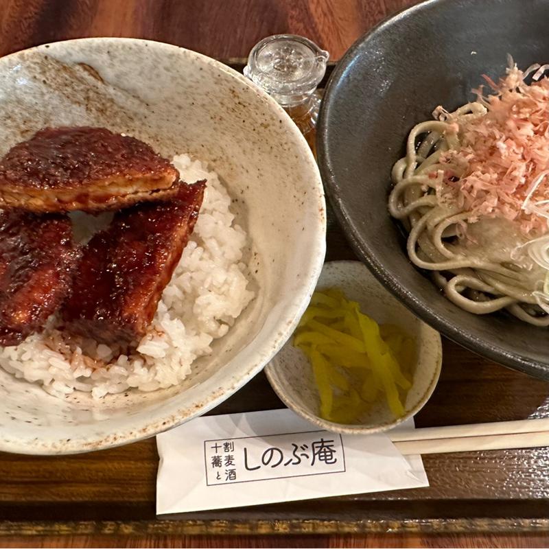 日替わり（ソースカツ丼と越前蕎麦）(しのぶ庵)