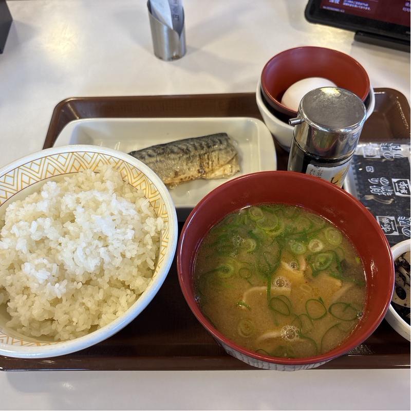 塩さばたまかけ朝食(すき家 4号足立保木間店（竹ノ塚店）)