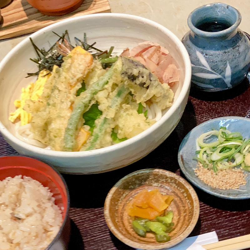 おろし天ぷらうどんそば(うどん亭ひさ家 松原店)