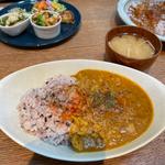 鶏ひき肉と蓮根のスパイシーキーマカレー(105Cafe)