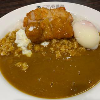 パリパリチキンカレー(カレーハウスCoCo壱番屋 中央区西中洲店)