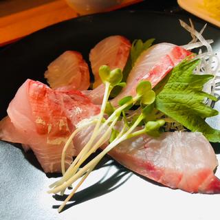 刺身定食(ずぼらや四季)