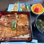うな重(玄白)