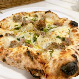 (ドットーレ （Dottore）)