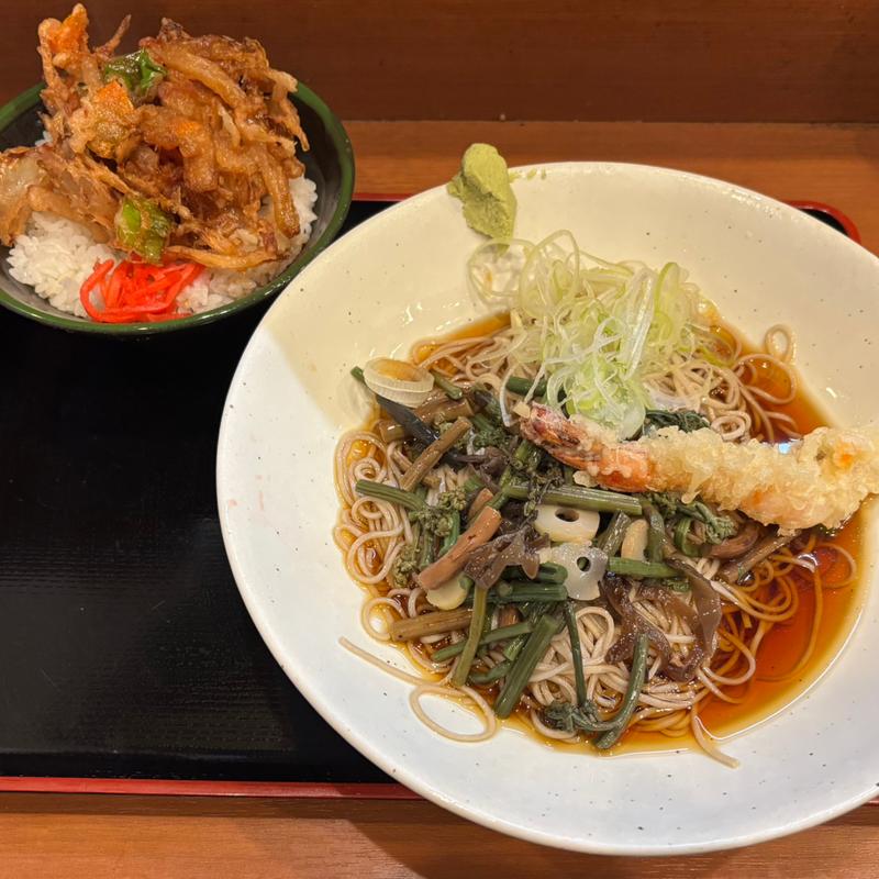 サービス定食（海老天・山菜そば+ミニ天丼）(そば うどん 元長)