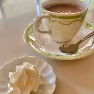 ココア（生クリーム付）