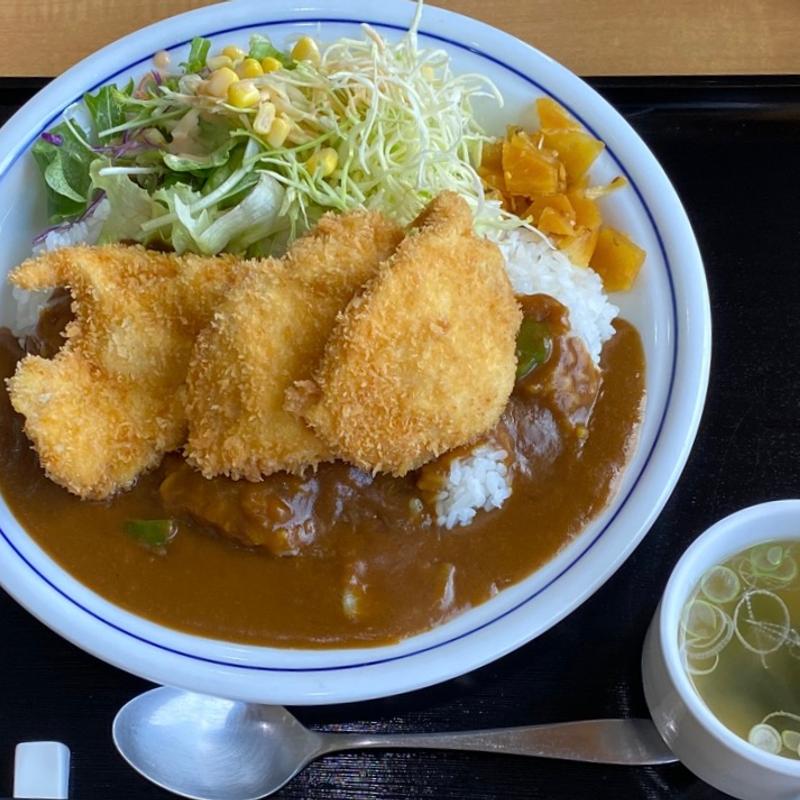 チキンカツカレー(ワープ116 （ワープイチイチロク）)