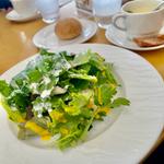 季節野菜サラダセット(ニセコ高橋牧場レストランＰＲＡＴＩＶＯ)