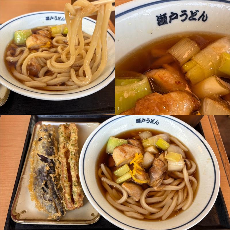 鶏ねぎ旨だしうどん・並(瀬戸うどん 横浜北幸店 )