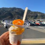 みかんソフト(道の駅 八幡浜みなっと)