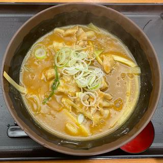 カレー南蛮うどん(かのや 新橋店)