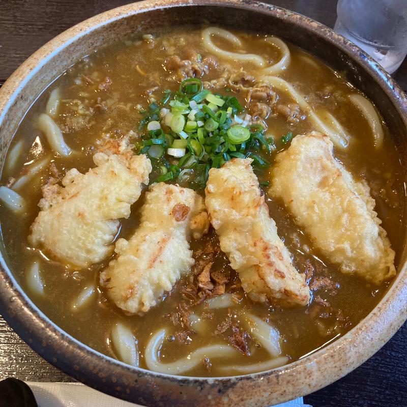 とり天カレーうどん(情熱うどんはるりん)