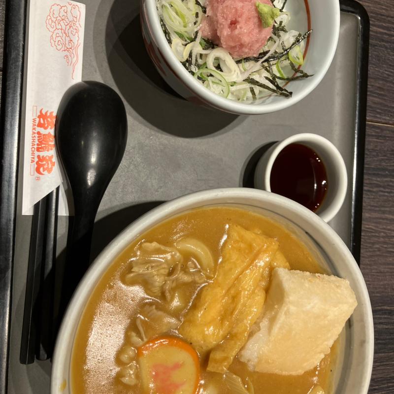カレーうどんとミニ丼セット(若鯱家 アピタ豊橋向山店)