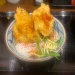 豚天ぶっかけ(並)