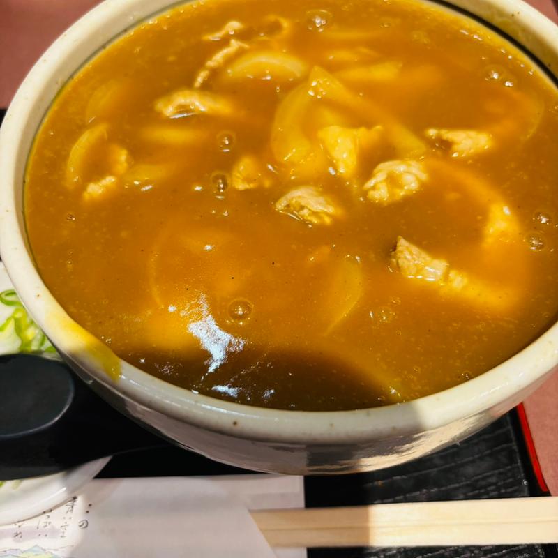 チカラカレー南蛮そば(松本屋)